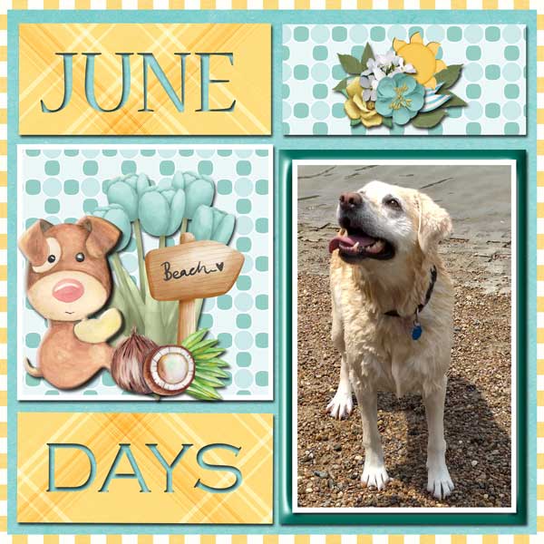 Hello June
