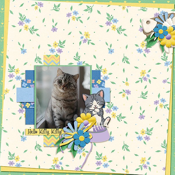 Hello Kitty, Kitty