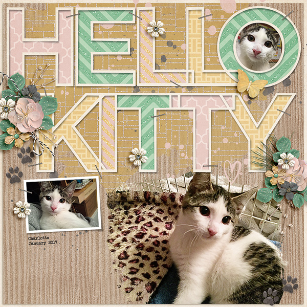 hello kitty