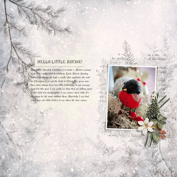 Hello little birdie