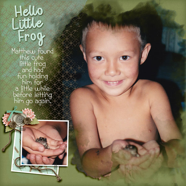 Hello Little Frog