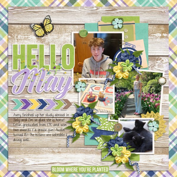 Hello May.jpg