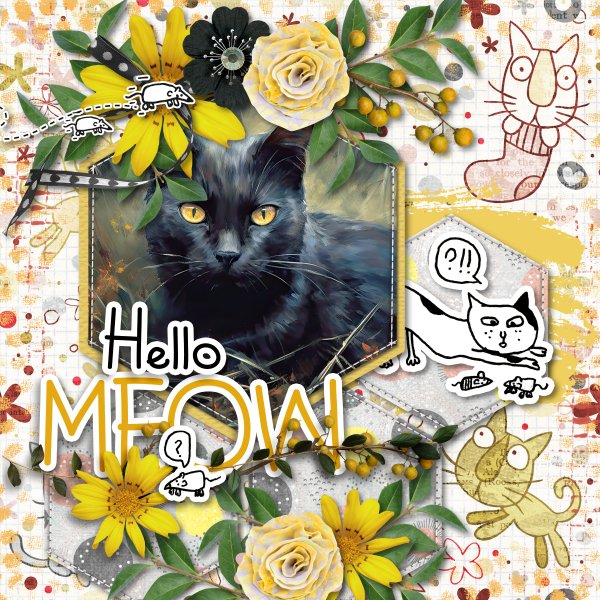 hello meow