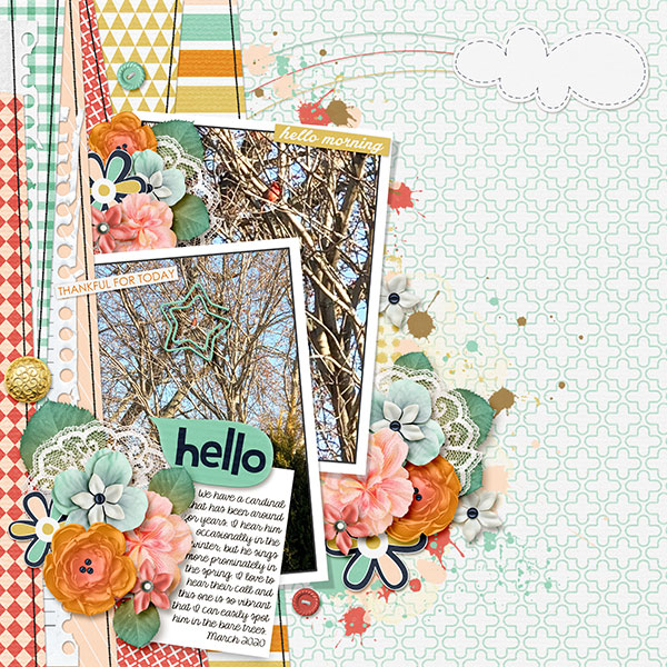 Hello Morning