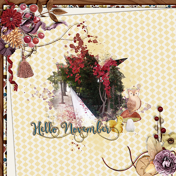 Hello November