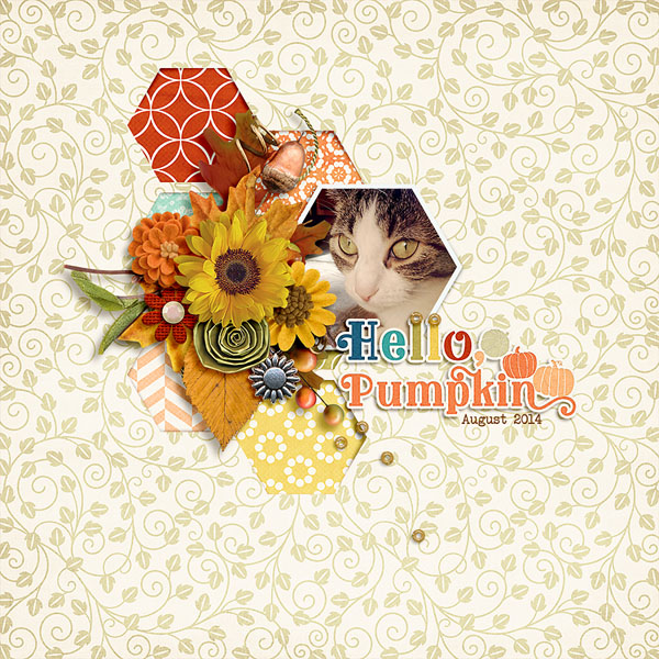 hello pumpkin