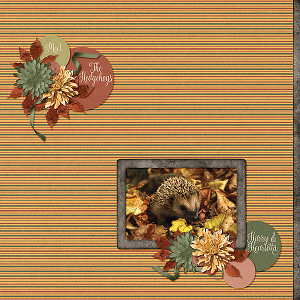 Hello September 2018