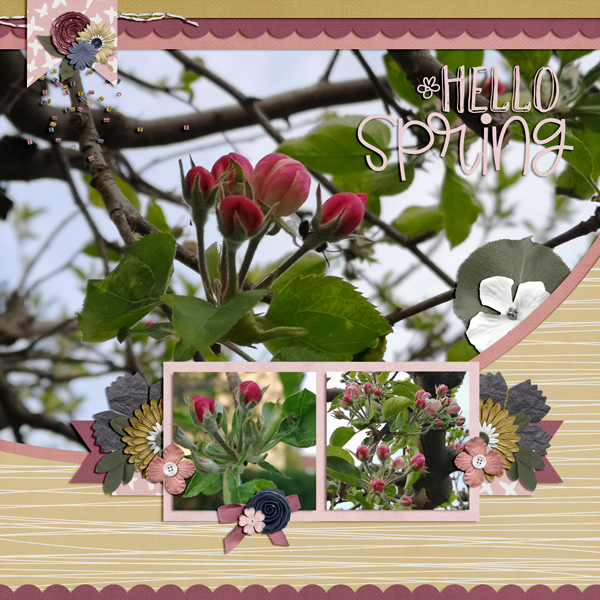 hello spring 2019