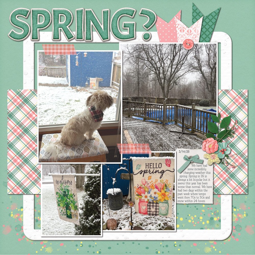 Hello Spring? 3/14/26