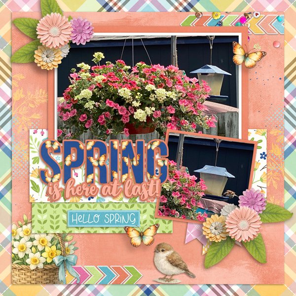 Hello-Spring-web.jpg