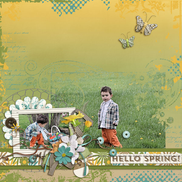 hello spring.