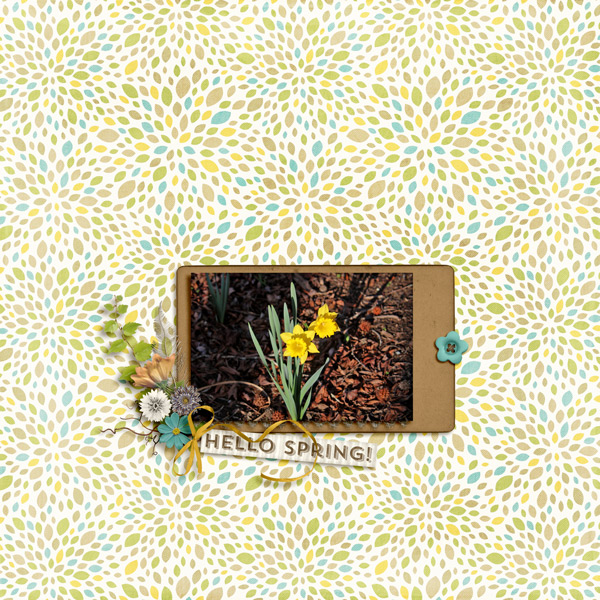 Hello Spring!