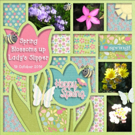 Hello, Spring!