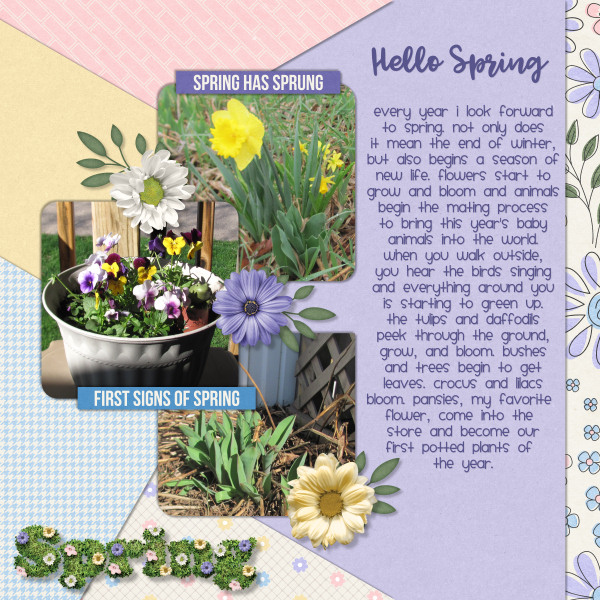 Hello Spring