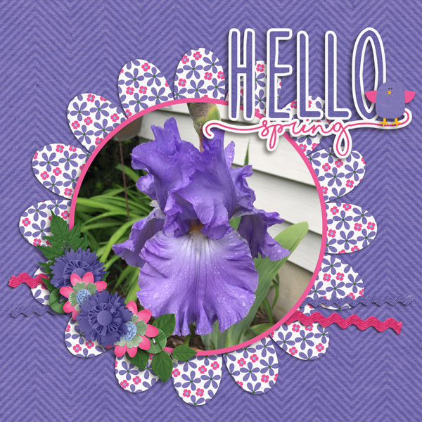 Hello Spring!