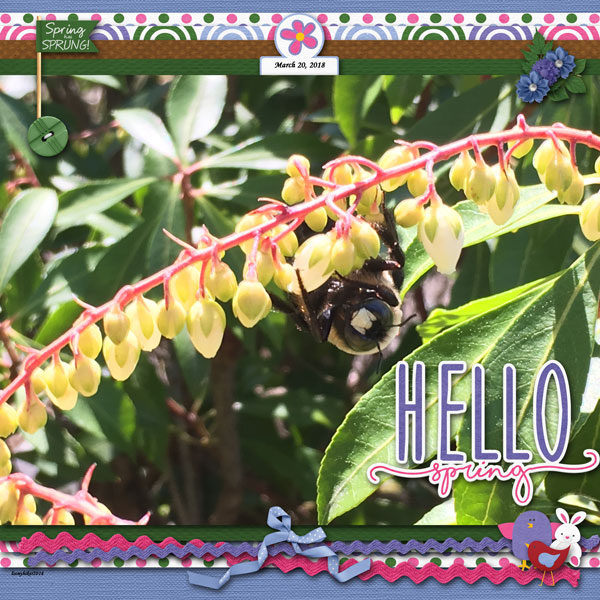 Hello Spring!