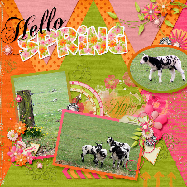 Hello spring!