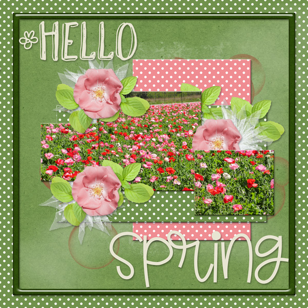 Hello Spring
