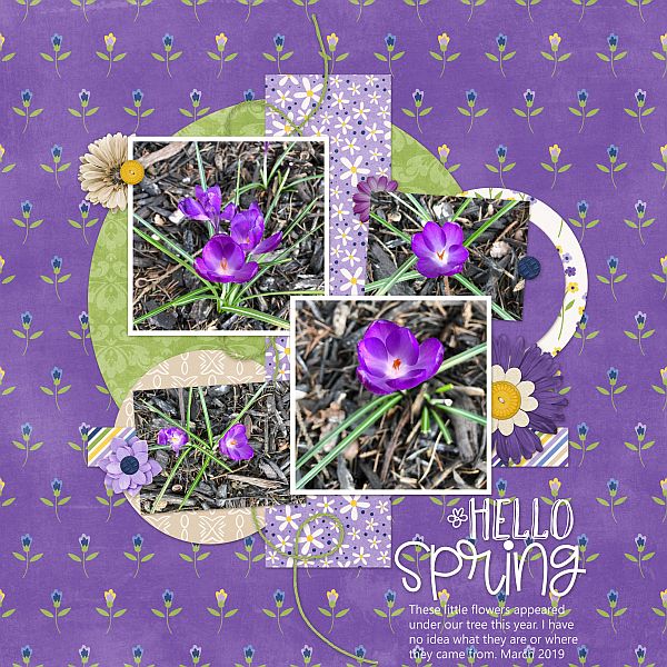 Hello Spring