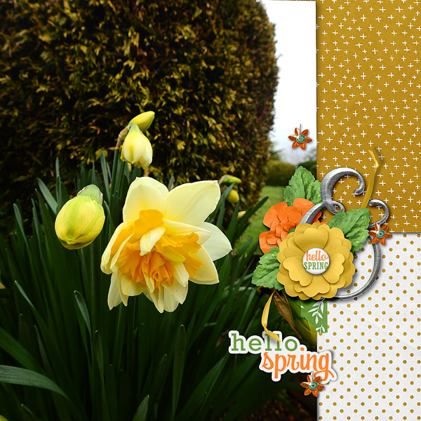 HELLO SPRING