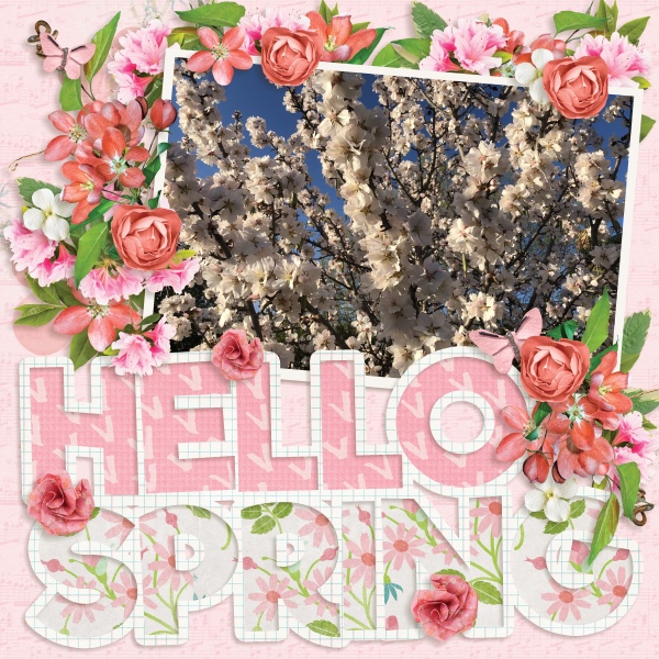 Hello Spring
