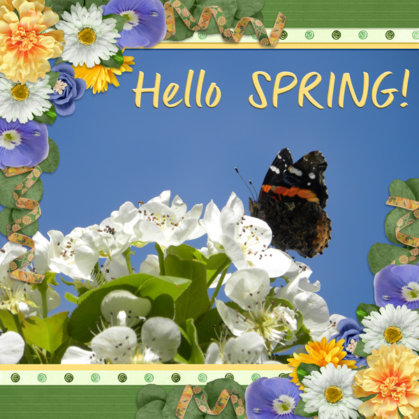 Hello SPRING!