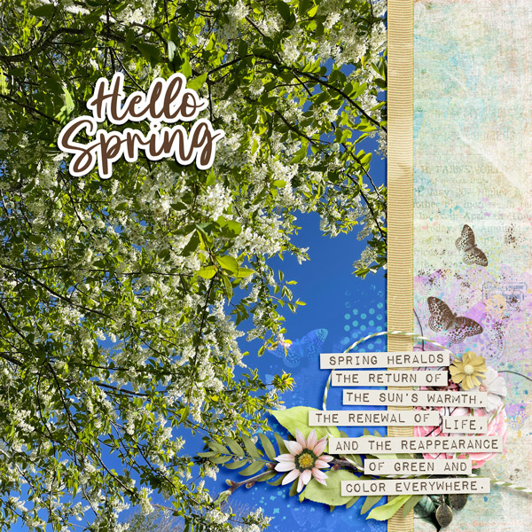 Hello Spring!
