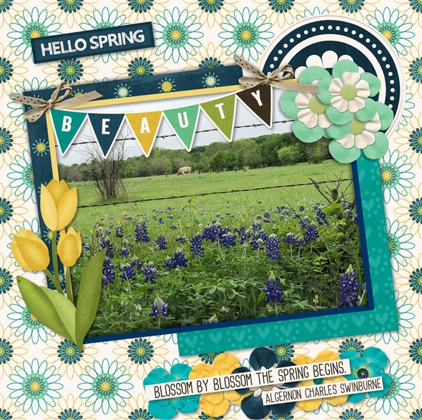 Hello Spring!