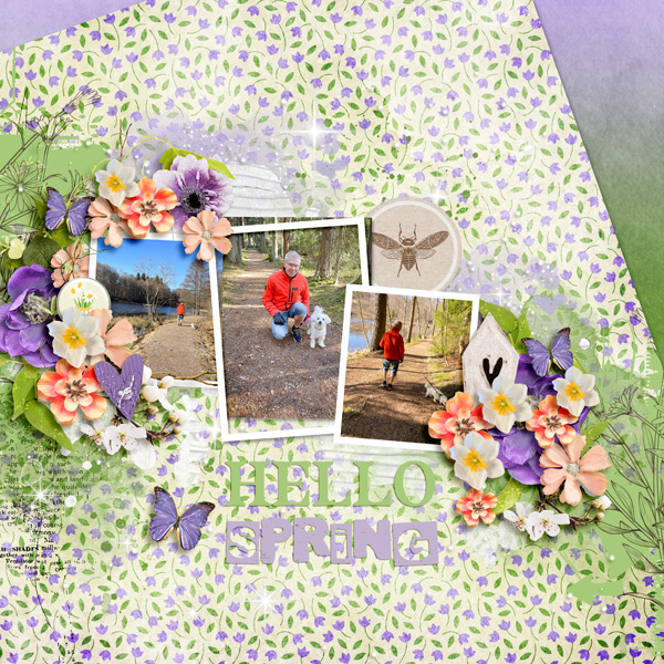 Hello Spring