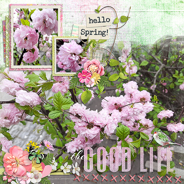 Hello Spring