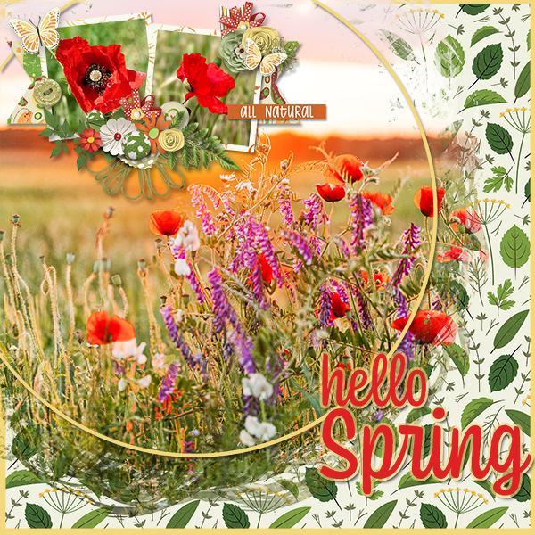 Hello Spring