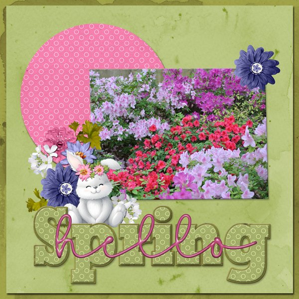 HELLO SPRING