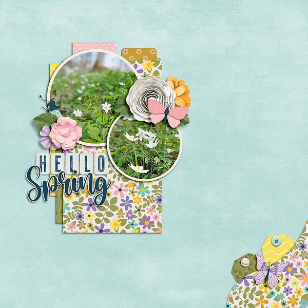 Hello Spring!