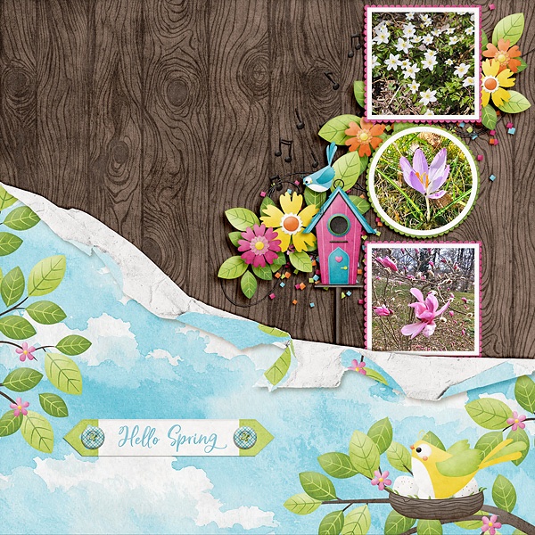 Hello Spring!