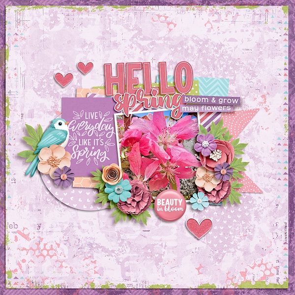 Hello Spring!