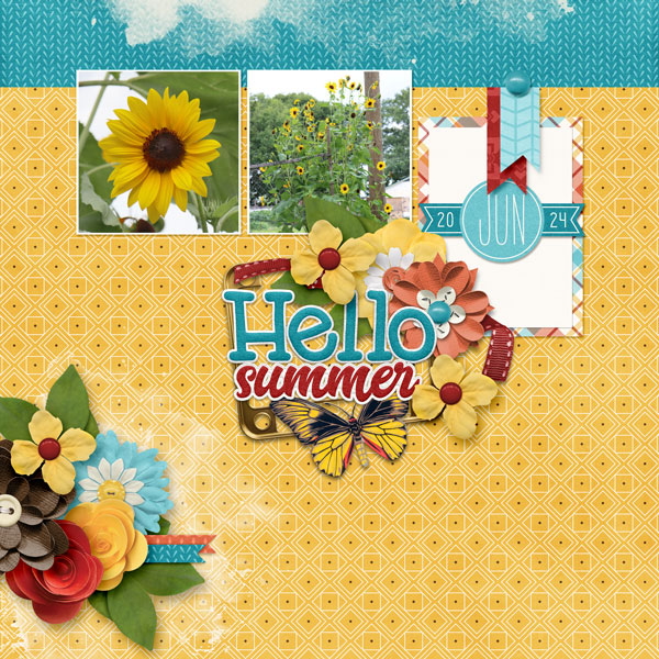 Hello Summer Sunflowers