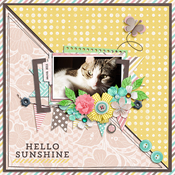 hello sunshine