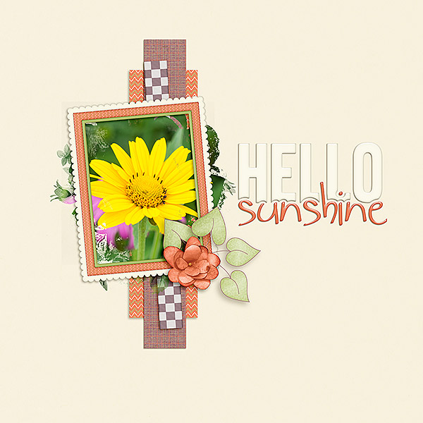 Hello Sunshine