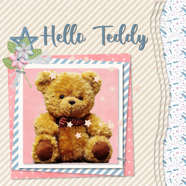 Hello Teddy!