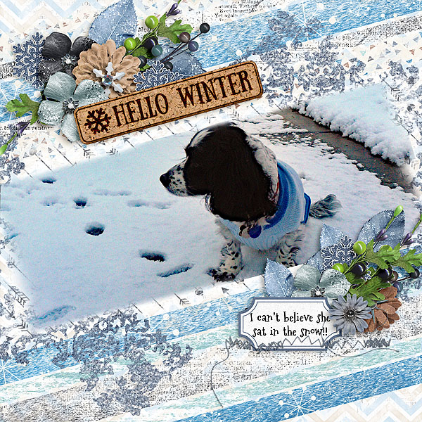 Hello Winter!