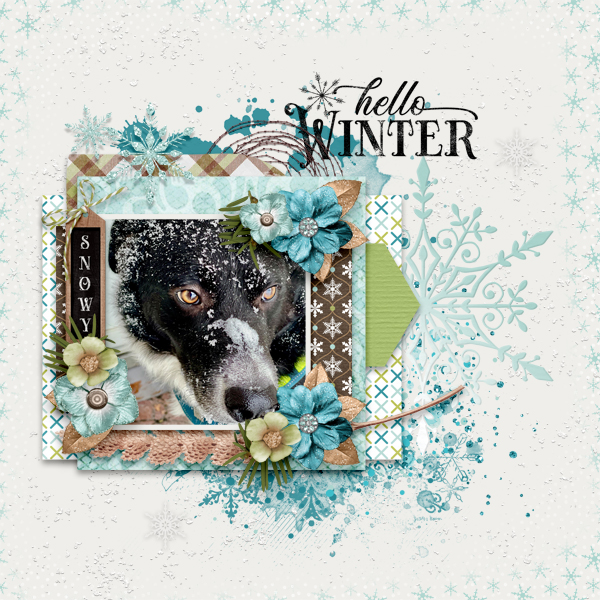 Hello Winter