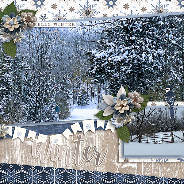 Hello Winter