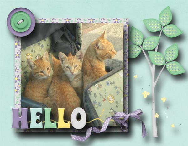 Hello :)