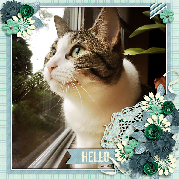 hello