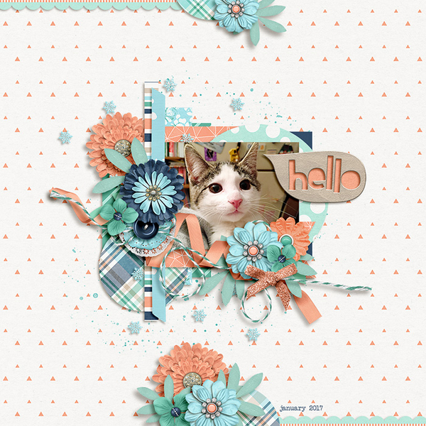 hello