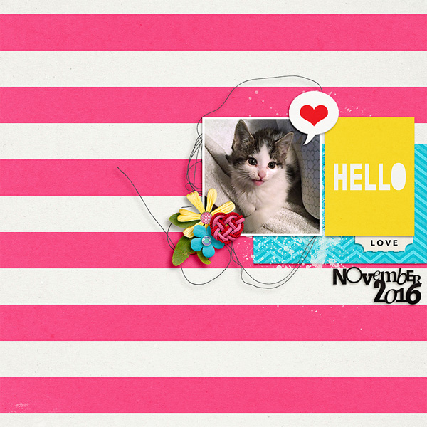 hello