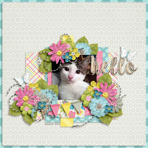 hello