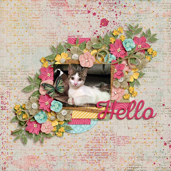 hello