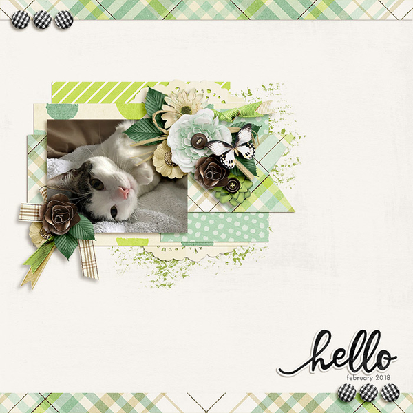 hello