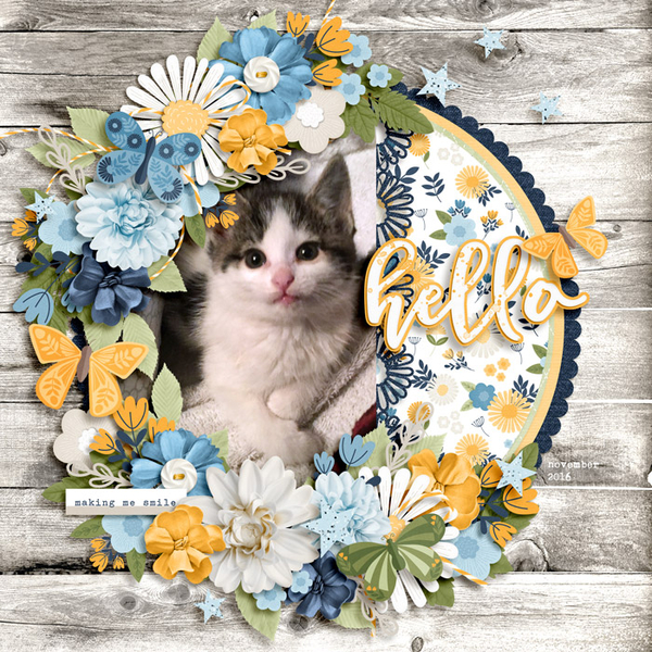 hello